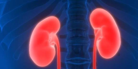 肾脏|无端有这4个感受,可能肾积水在发出“攻击”,要警惕