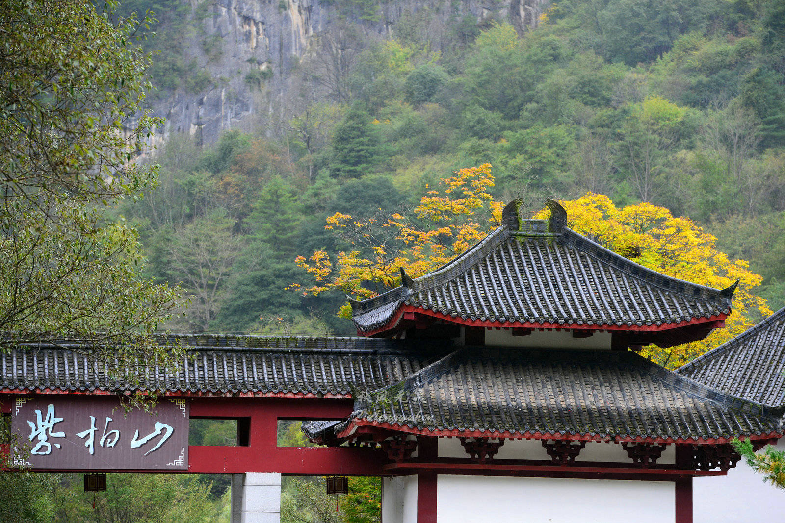 张良庙寻古紫柏山赏秋十月去留坝赴一场秦岭红叶奇幻之约