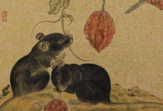 属鼠人家中挂什么画好 4f2563bb9d6c466e9af265033461b158.jpeg