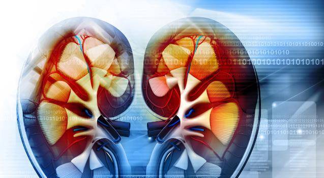 肾脏|肌酐升高后，防范尿毒症也不晚！稳住肾功能照着2步走