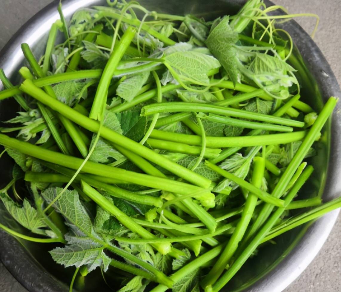 帮助消化!绿色营养又健康!老少皆宜的美食!
