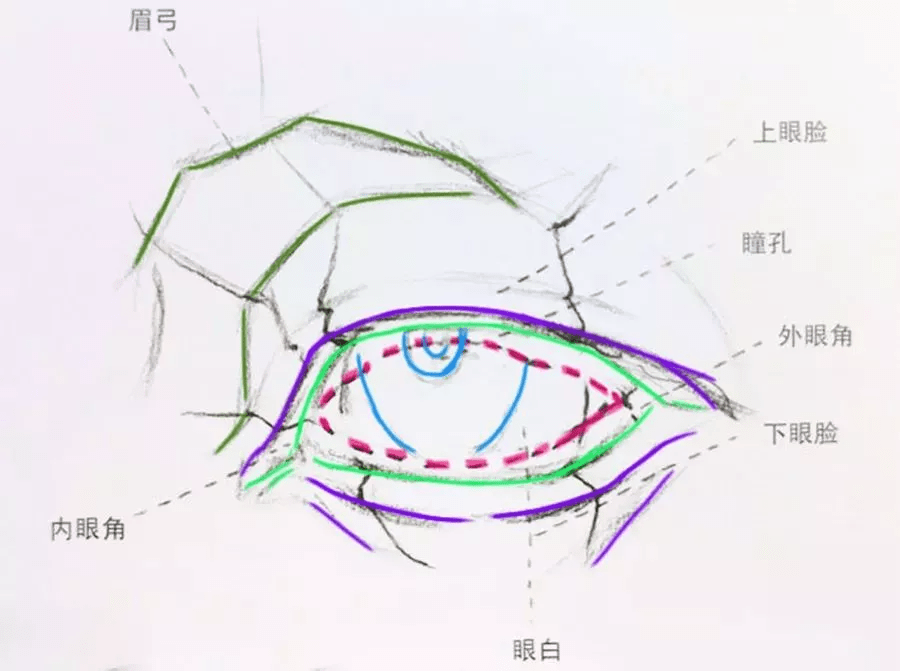 眼睛五官之眼睛绘画教程和素材