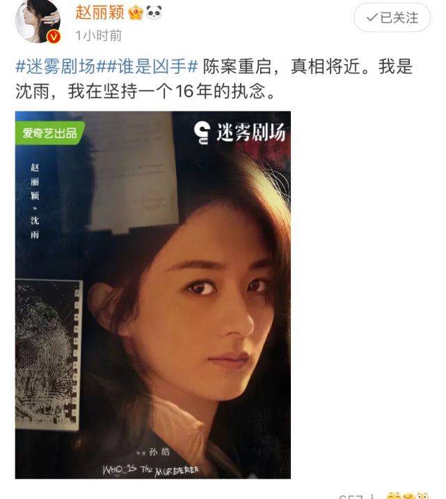 角色|赵丽颖为新剧宣传，《谁是凶手》侧颜海报曝光，眼神犀利符合角色董子健_网易