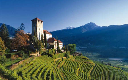 等级|想要买到可以“陈年”的葡萄酒？了解这7个方面，保证你不被忽悠