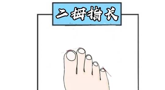 用什么来判断属什么命 怎么能知道属什么命