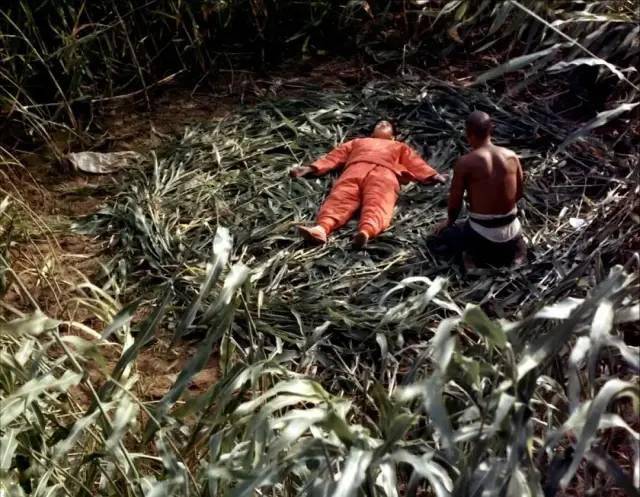 海市蜃楼|80年代十大“现象”佳片，《少林寺》1.6亿，《红高粱》获奖无数？