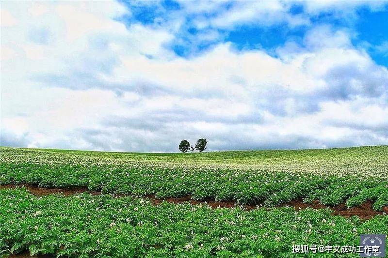 生活隨意過往不憂當下不雜