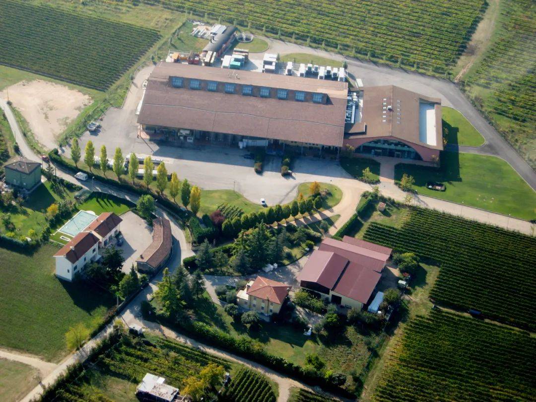 Wine|Falling Dreams｜一场葡萄酒与艺术的感官体验