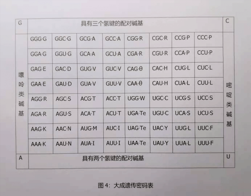 成语遗传什么码_成语故事简笔画