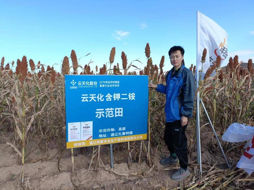 云天化二铵图片 e3ca575b371e4bd9a6d3566a6f4fc0e7.jpeg