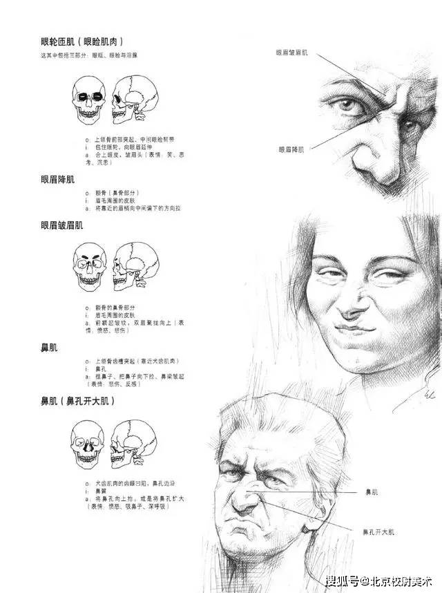 头像校尉美术：素描头像的画法需要注意哪些问题呢？