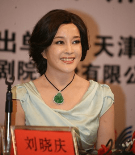 刘晓庆的言论与偷税问题探讨