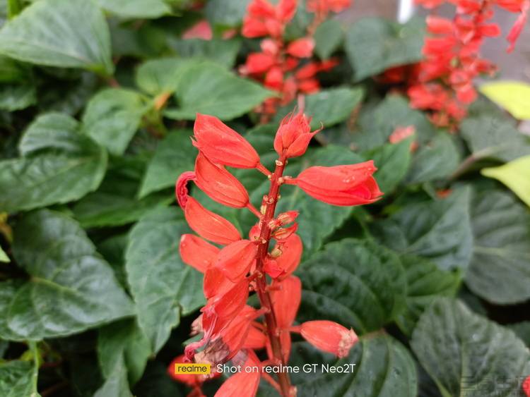 评测|性能升级更好“玩”，真我GT Neo2T首发评测