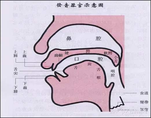 650a0cf6fe9a4deb99f724b19a7a6cdf.jpeg