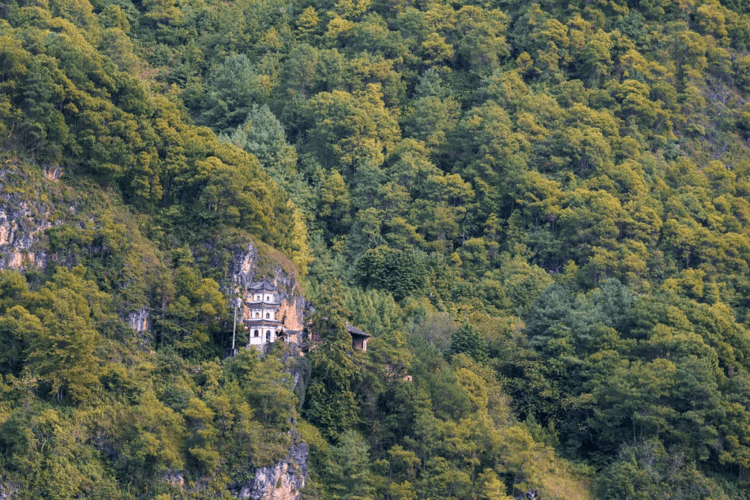 唯美|银杏村悬崖酒店丨徜徉在大滇西环线游唯美之秋，住悠然半山酒店