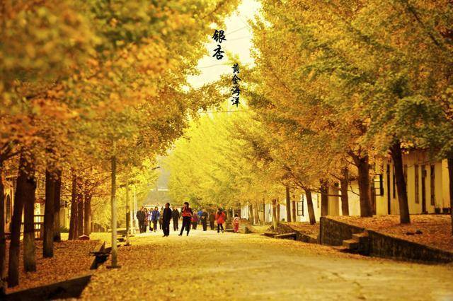 广东最美的省道，一到秋季美成“仙”路，美到你不敢相信