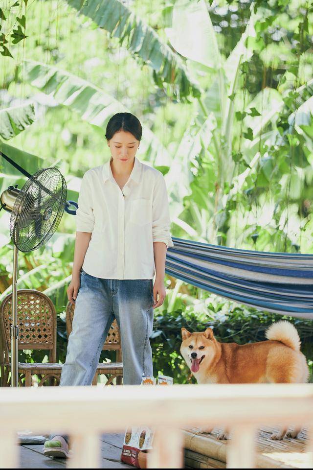 海清 海清走知性风太适合！衬衫连衣裙优雅干练，利落精致的气质太惊艳