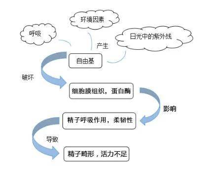 563a09a9ed4847d68ea3409497cb2eac.jpeg