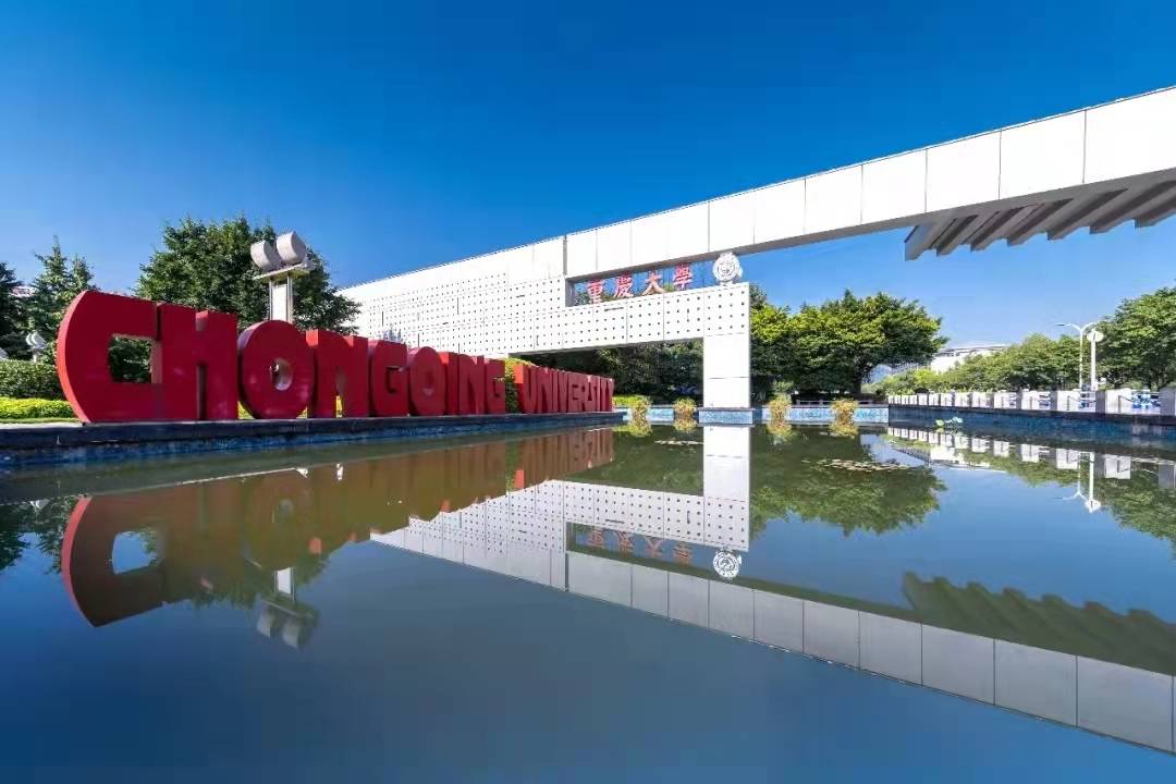 原创牛人25岁任985高校重庆大学博导比北大韦神还年轻