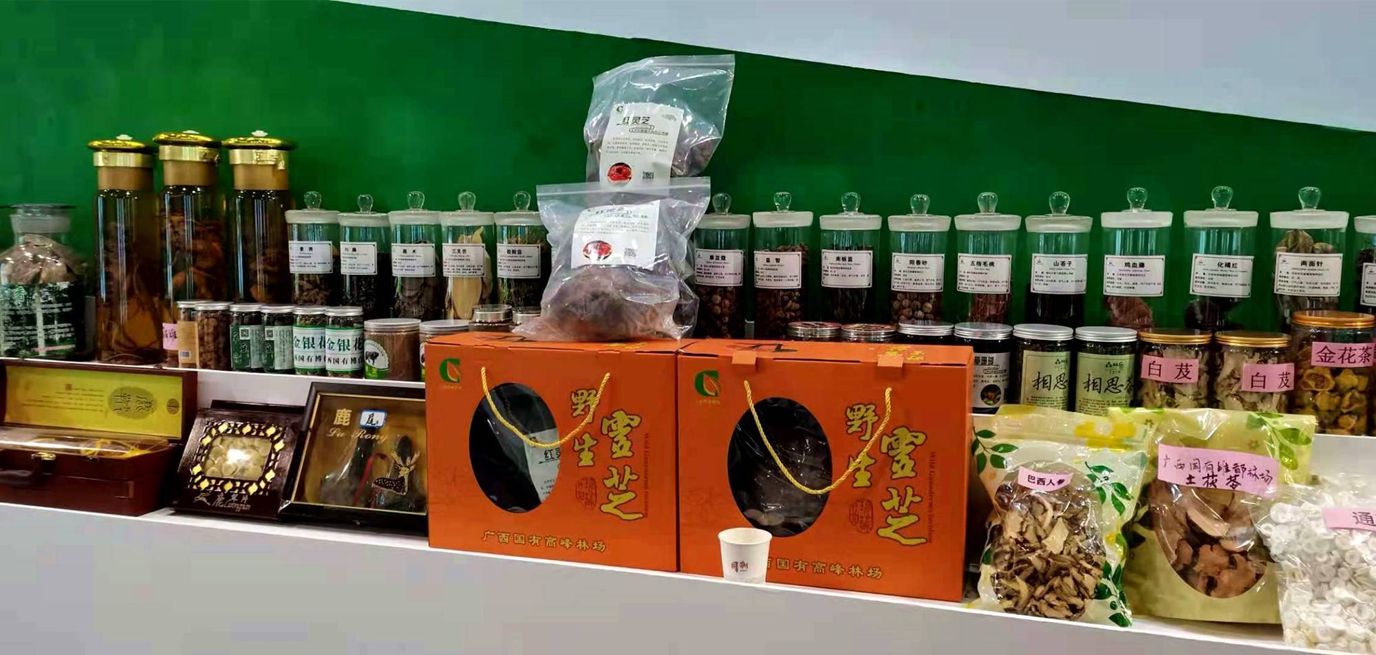 中药材种植基地管理制度