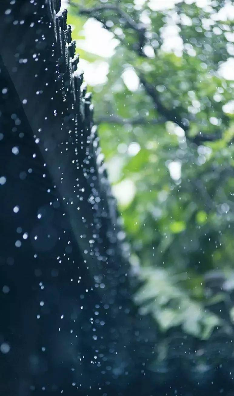 烟雨纷纷、秋色渐染，贵阳的每一面，都令人欣喜！