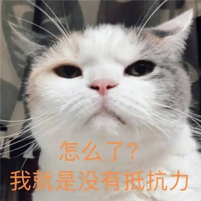软萌的精选撒娇聊天表情大全_包有