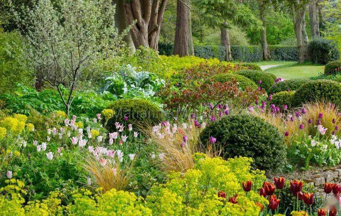 剑源共挤木|种上一个"球"可以提升景观的空间感与趣味性!_灌木