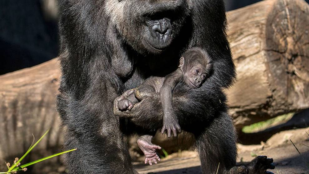 什么叫生物制造 92802af54ae3461a9b56add8af553131.jpeg