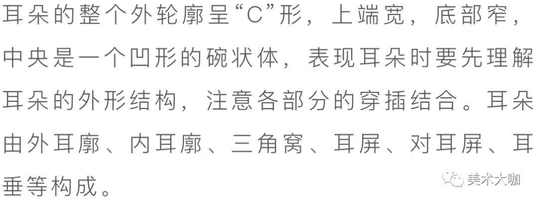 头像素描课堂|素描五官画法大全,看这一篇统统搞定!