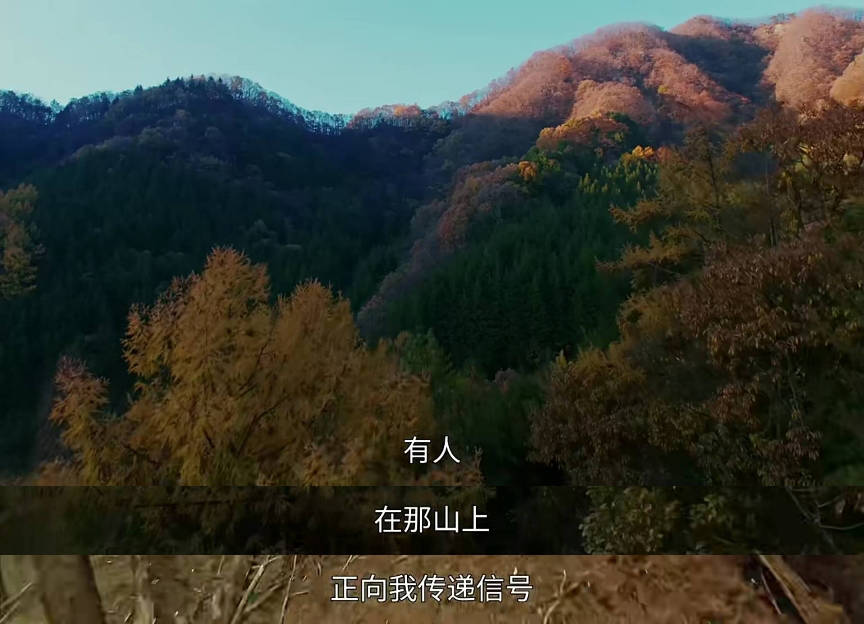 业内人士|全智贤《智异山》口碑不佳，特效差剧情无聊，业内人士发ins吐槽