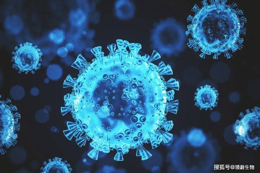 症状|全世界最漫长新冠感染：从癌症中康复后，她在新冠中挣扎了335天