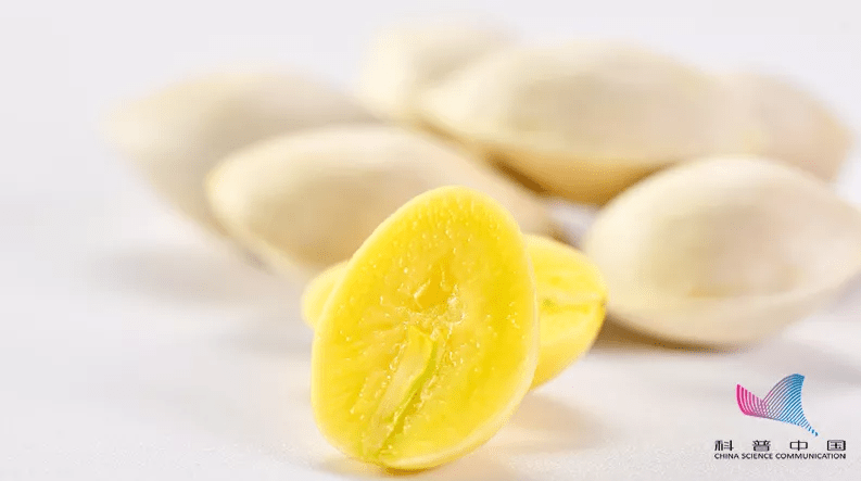 毒性|当心！路边常见的这东西有毒，千万别随意&amp;quot;碰&amp;quot;！严重可致命