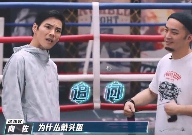 节目组|参加完这档综艺后，向佐的“功夫巨星”梦，怕是彻底破碎了