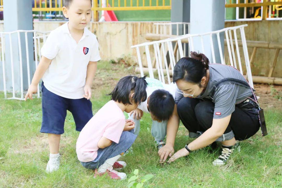 教学|【教师专访第一期】她将一份细水长流的热爱，变成默默无闻的坚守