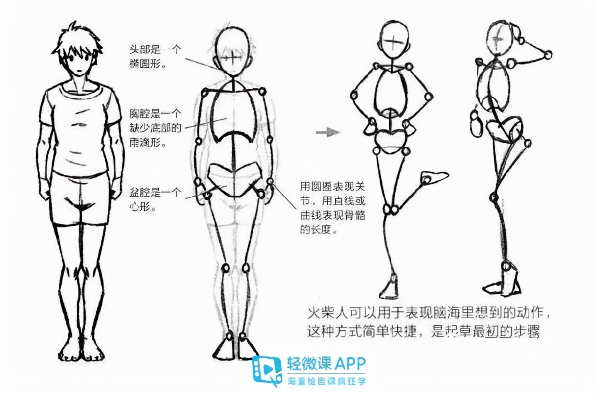 人体结构怎么画动漫图片