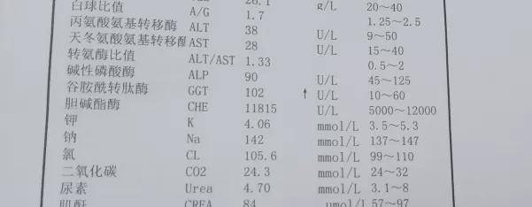 肝脏|医生提醒:乙肝最佳治疗时机看检查,已经耽误的请别犹豫