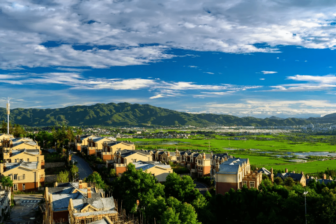 秃杉|腾冲：云南生态名片 世界文化旅游名城