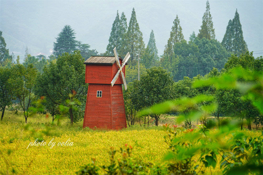 活动|寻枫·看稻·闻香 | 在秋意盎然的田园曼居，感受家的味道