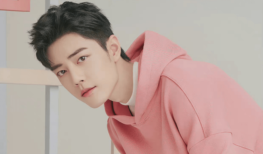 卫衣 肖战和粉色的适配度有多高？粉丝：他就是温柔本身！