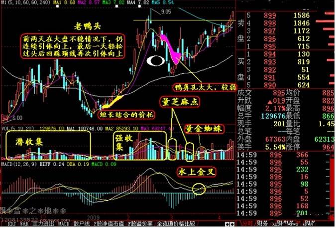 如何从技术面上找牛股牛股启动前都会有怎样的信号