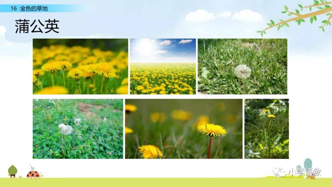 8bd6c3d9600d4671aa64307b7f67638a.jpeg