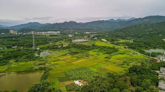 狮峰村|寻找潮州乡村最美画卷，狮峰村，原生态青山绿水的好去处