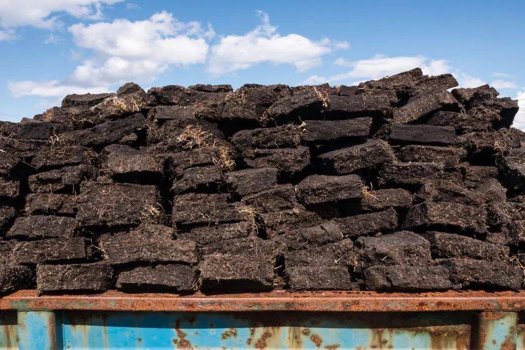 闻起来像消毒水泥煤风味到底是个什么存在