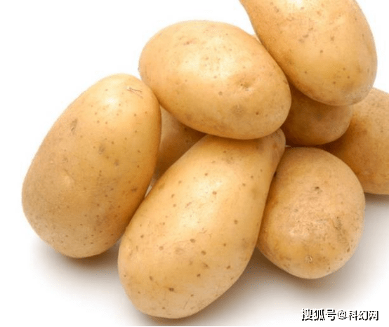 补充维生素c就吃酸味水果 这个蔬菜令人意外 食物