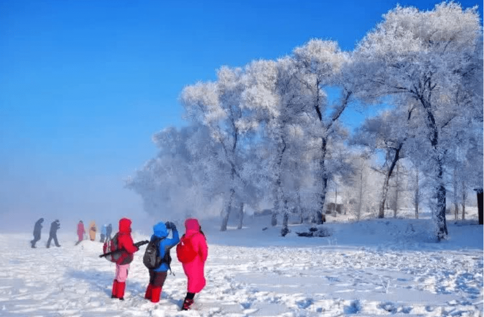 东北|河南人为什么如此迷恋胡辣汤?说来话长