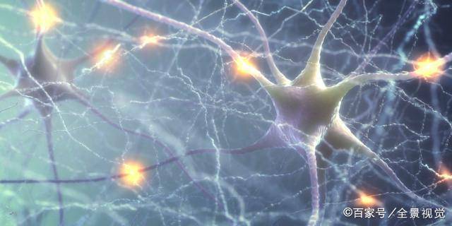 智商|二胎比头胎更聪明？也就是看起来而已，头胎的智商高有事实依据