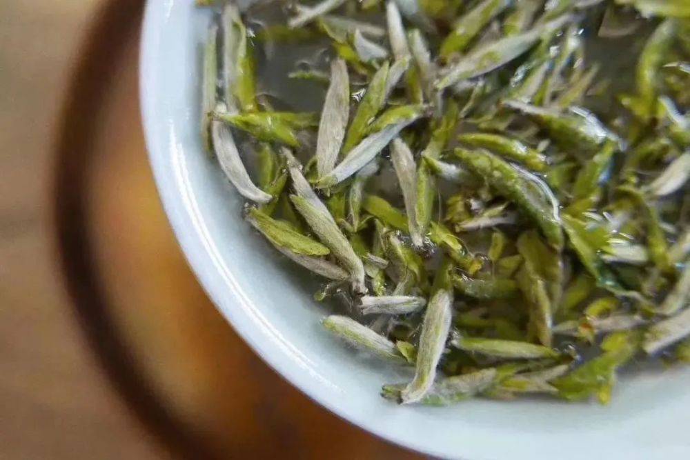 白毫银针怎么选