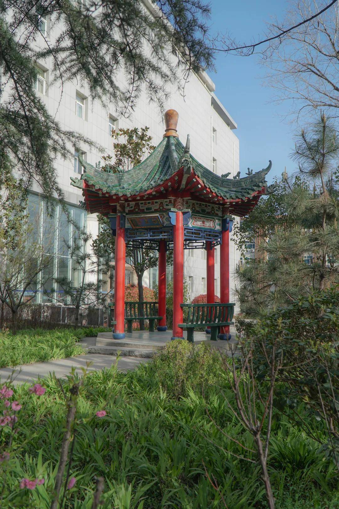 风是|西安翻译学院的风，是什么味道？