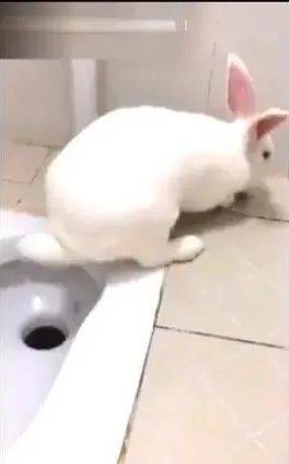 678594d233f14accb46c4a5fb3efbcd3.jpeg