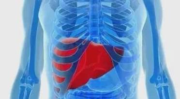 肝脏|从肝病的角度看，右上腹疼痛一般是什么原因？应该如何应对？